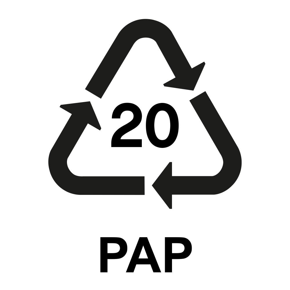 PAP 20 Logo