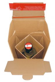 E-Commerce Flaschenversandverpackung (DHL zertifiziert)