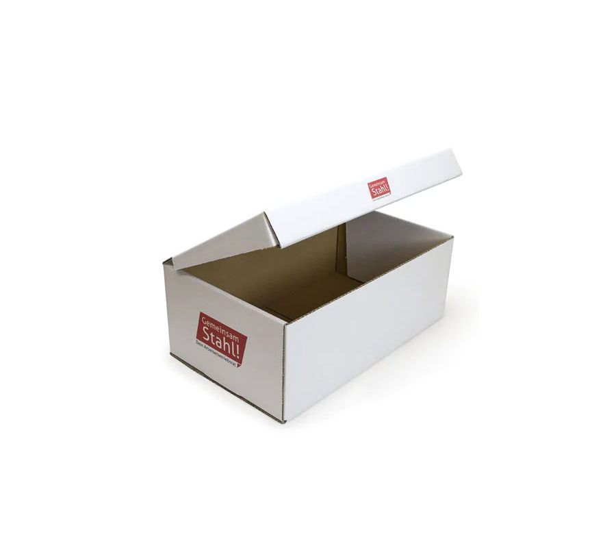 Karton mit Klappdeckel und Druck