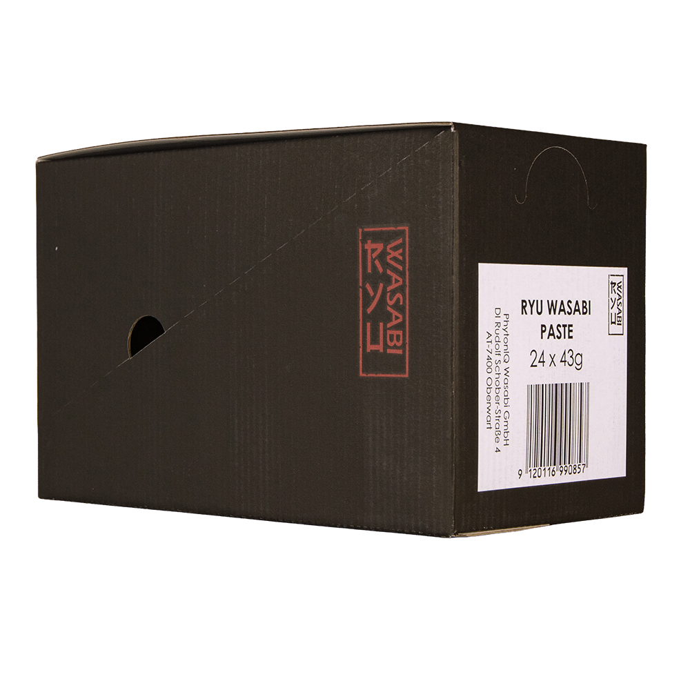 Seitenanischt hinten