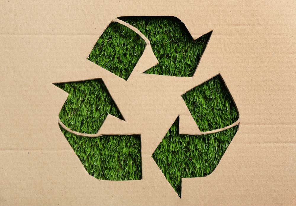 Eine Reise durch internationales Recycling: Karton im Fokus