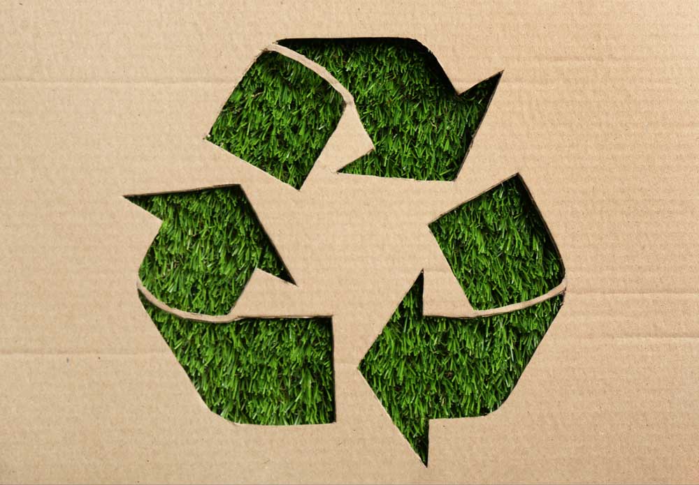 Eine Reise durch internationales Recycling: Karton im Fokus