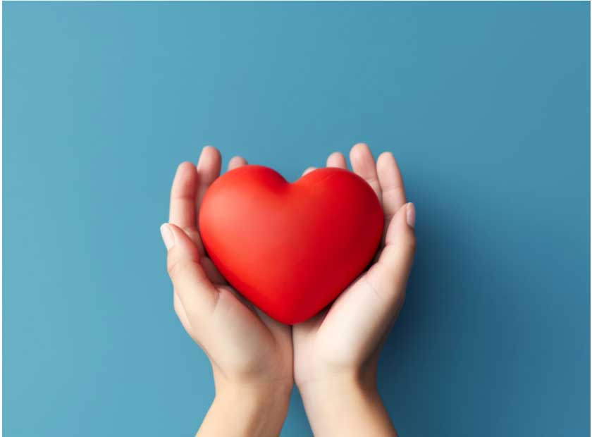 Wir setzen ein Zeichen der Solidarität in der Weihnachtszeit