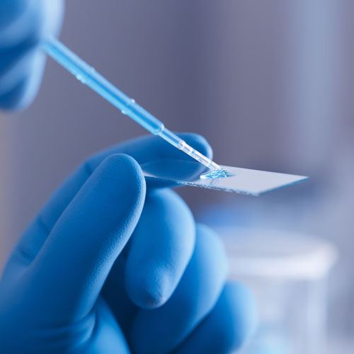 Pharmaindustrie